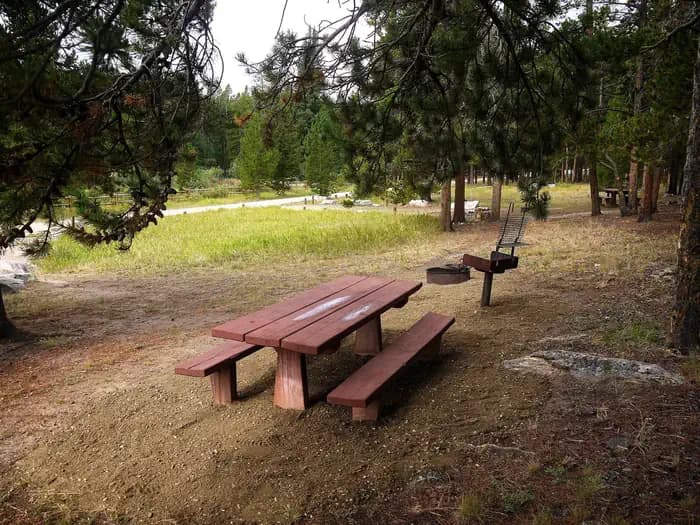 DOYLE CREEK CAMPGROUND