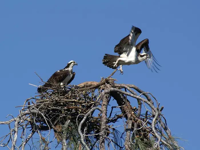GLORY HOLE RECREATION AREA