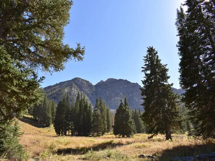 ALBION BASIN