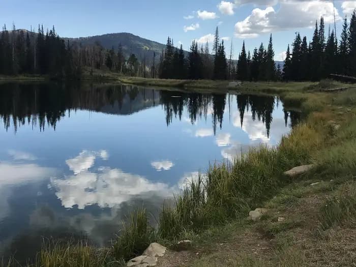 POTTERS POND