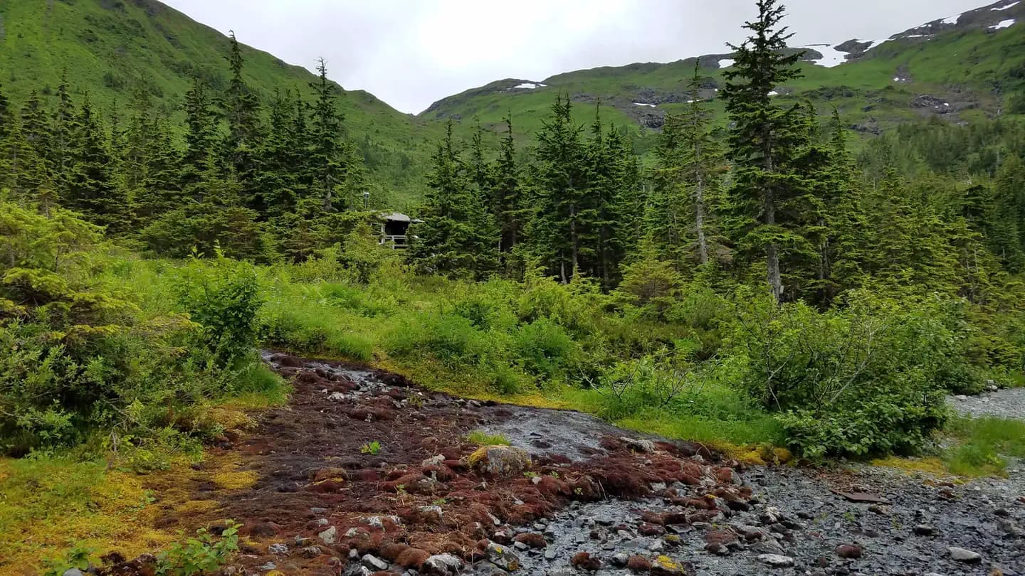 Black Bear Lake Cabin (Tongass National Forest, AK)