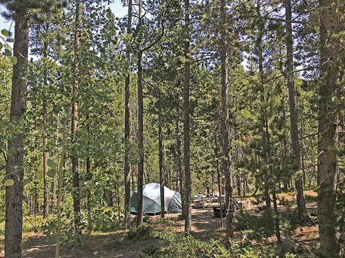 Cottonwood Campground