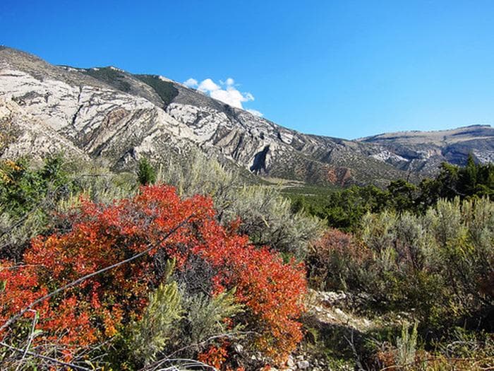 Cottonwood Creek Trail