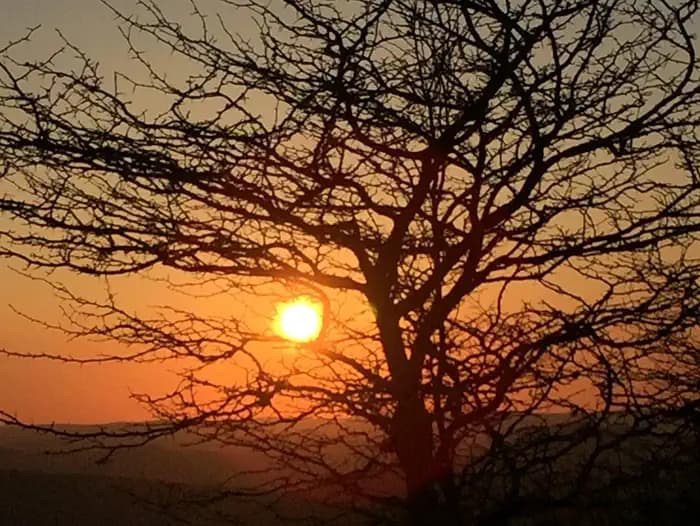 MIDDLE MOUNTAIN CABINS