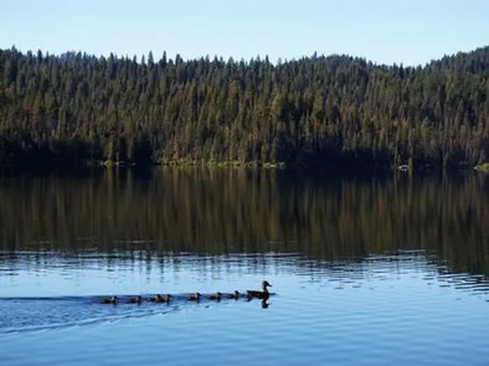 SAGEHEN CREEK