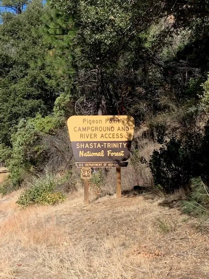 Pigeon Point Group Campground