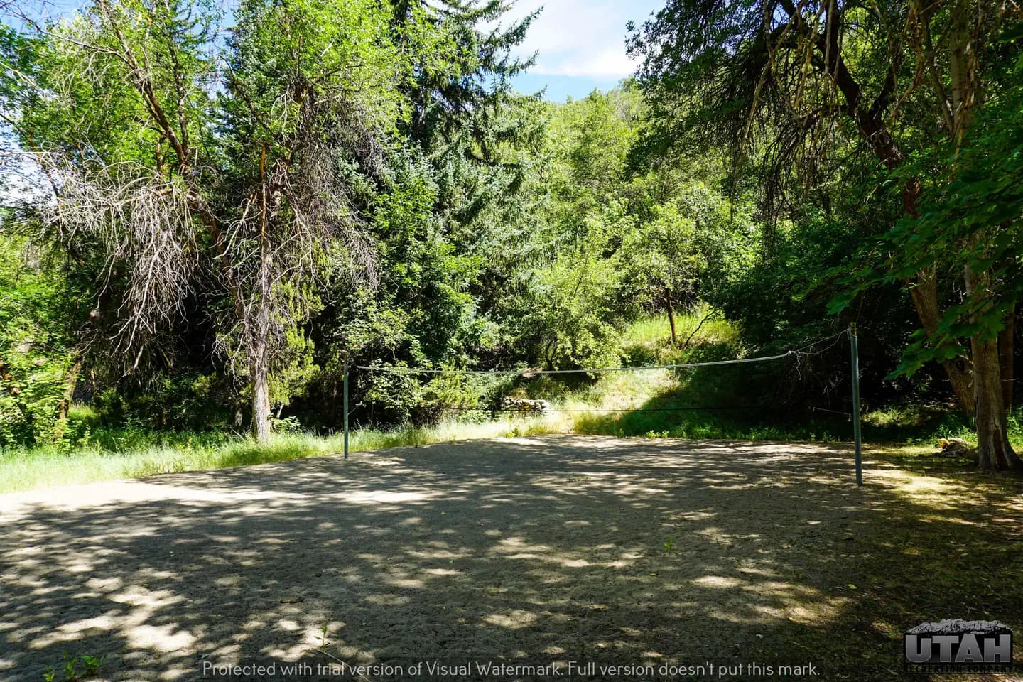 MUELLER PARK GROUP PICNIC