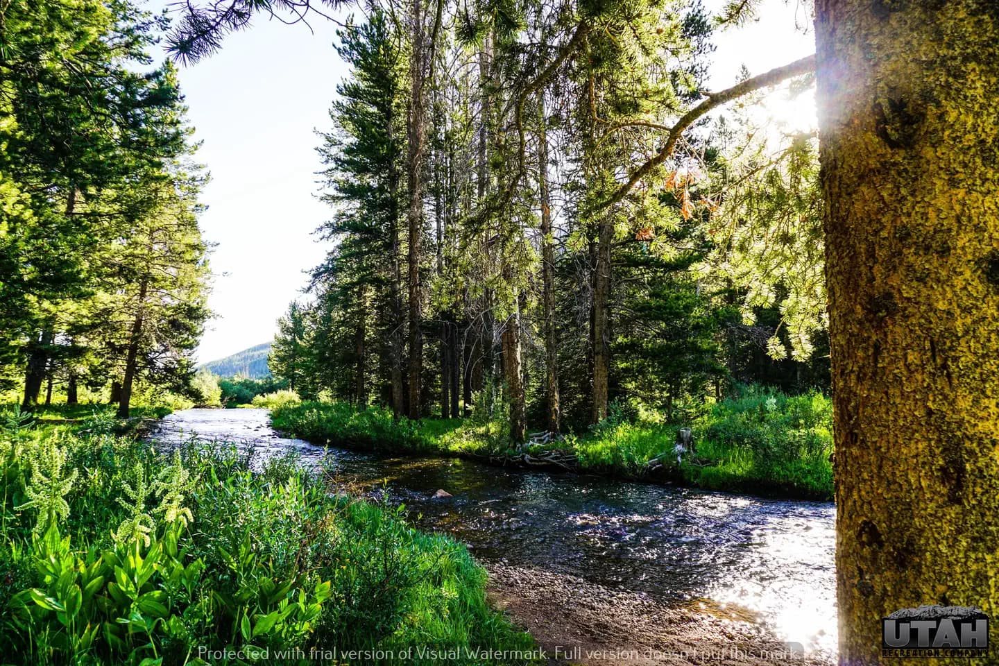 SULPHUR CAMPGROUND