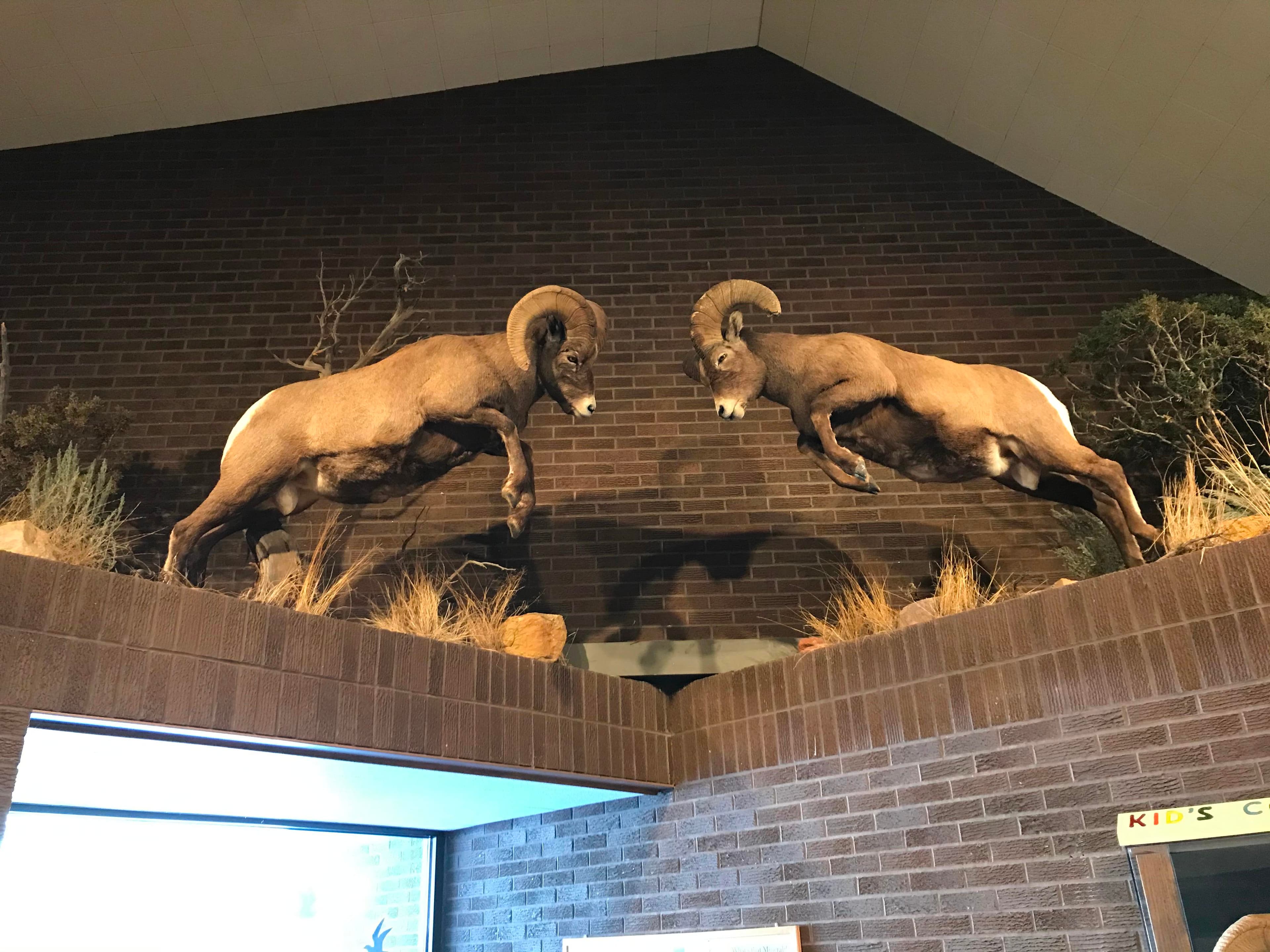 Cal S. Taggart Bighorn Canyon Visitor Center (Lovell, WY. South District)