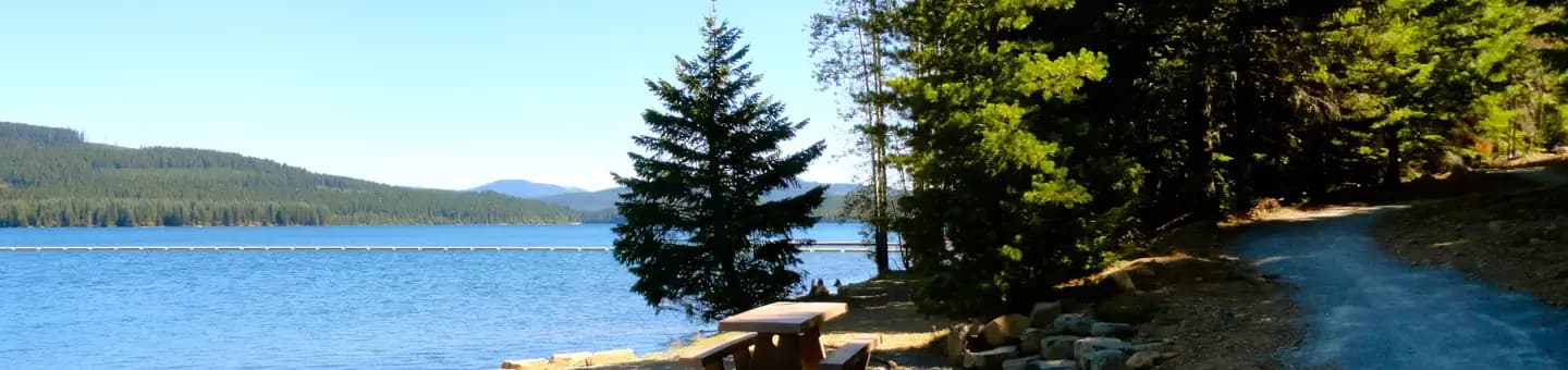 Pine Point Campground (Timothy Lake, OR)