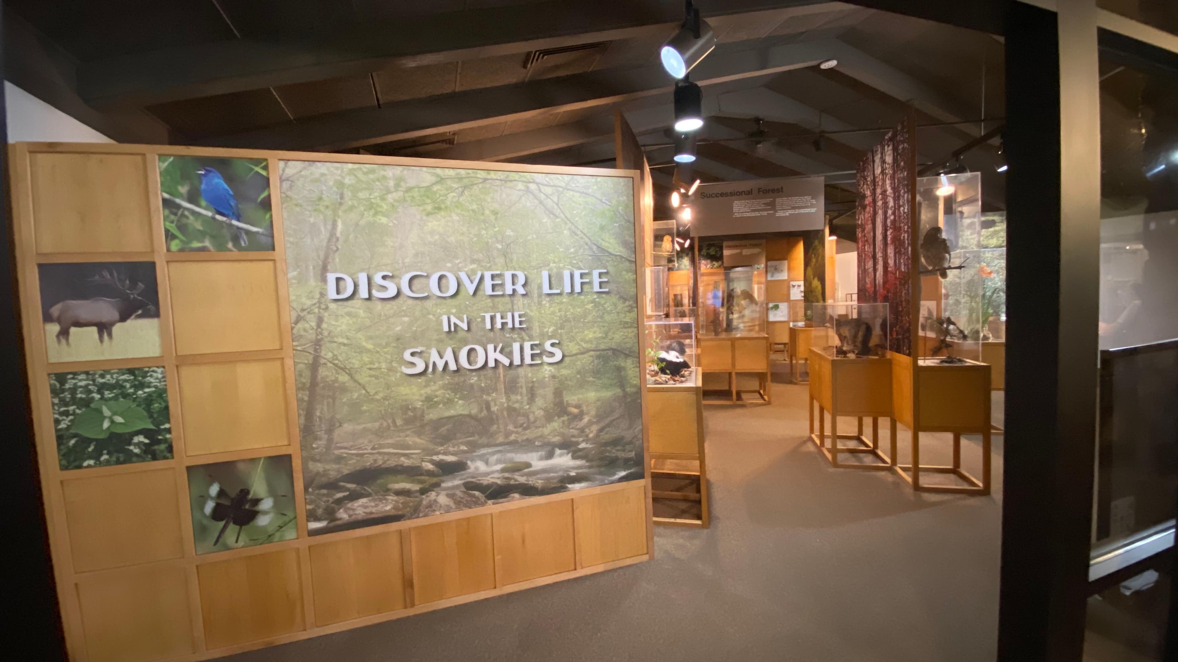 Sugarlands Visitor Center