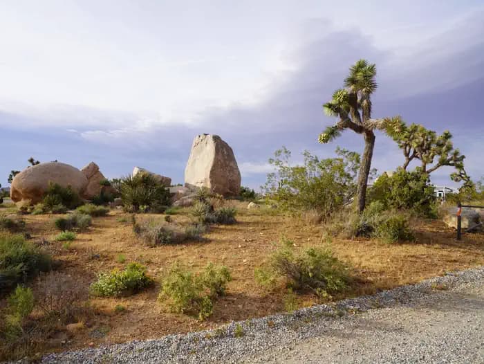Ryan Campground