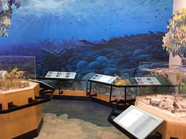 Dante Fascell Visitor Center