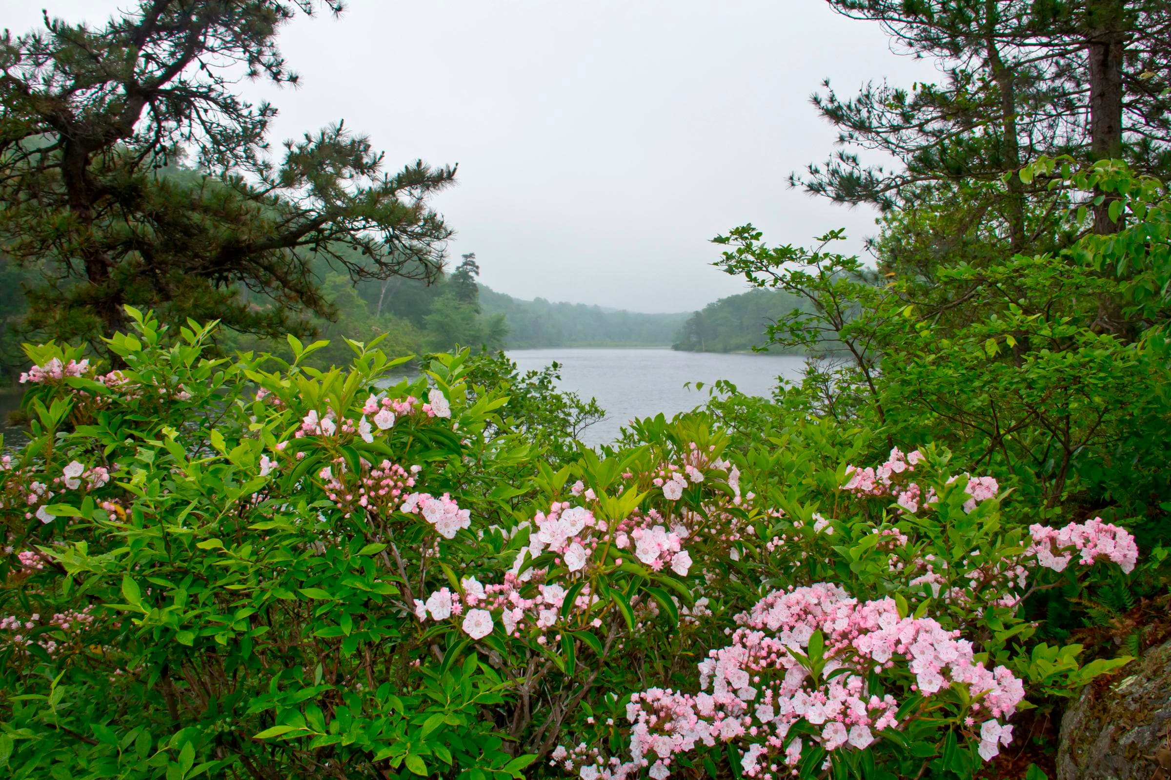 Mohican Outdoor Center