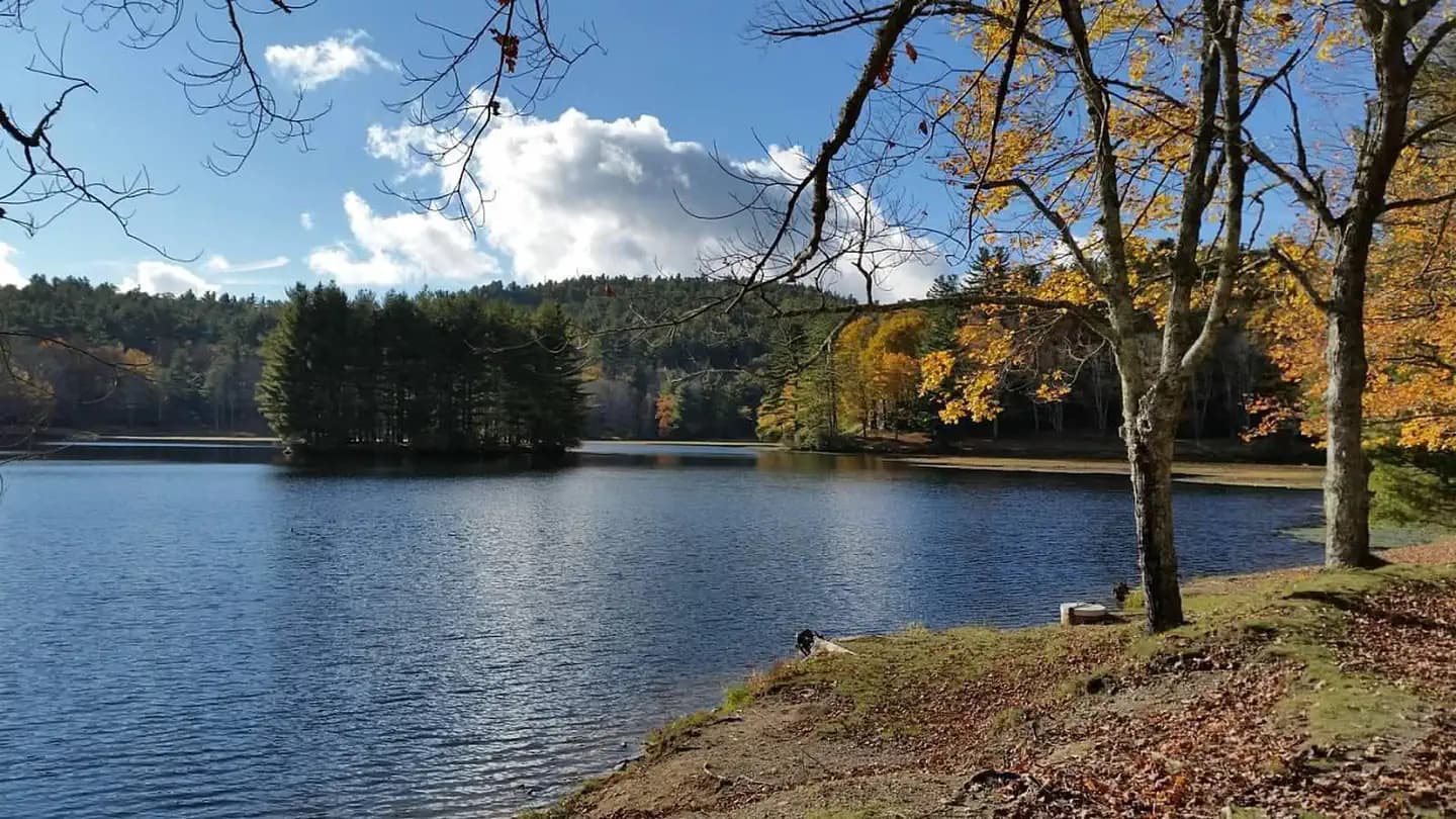 Julian Price Campground