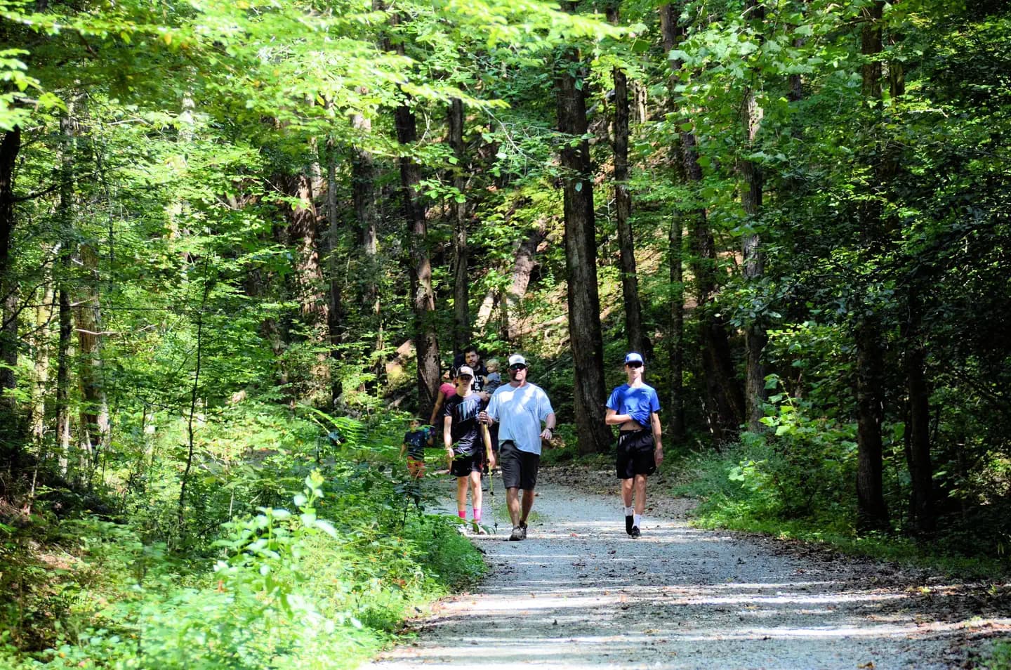 COOPER'S FURNACE DAY USE AREA (GA)