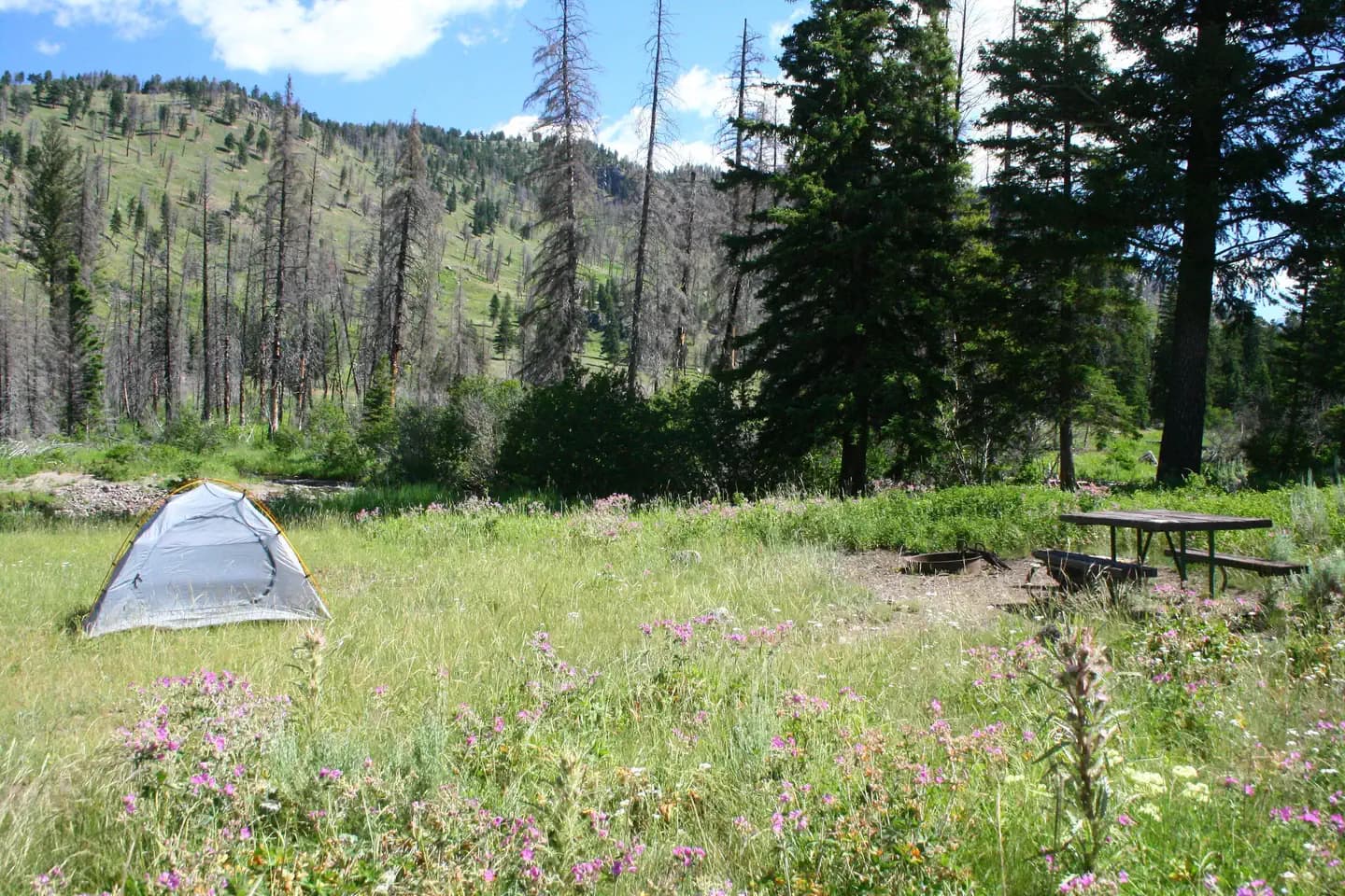 Slough Creek Campground