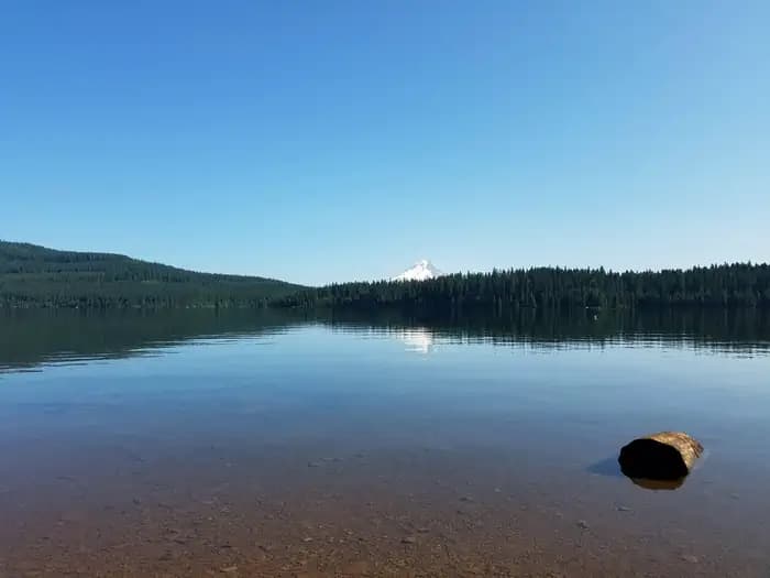Hoodview Campground (Timothy Lake, OR)