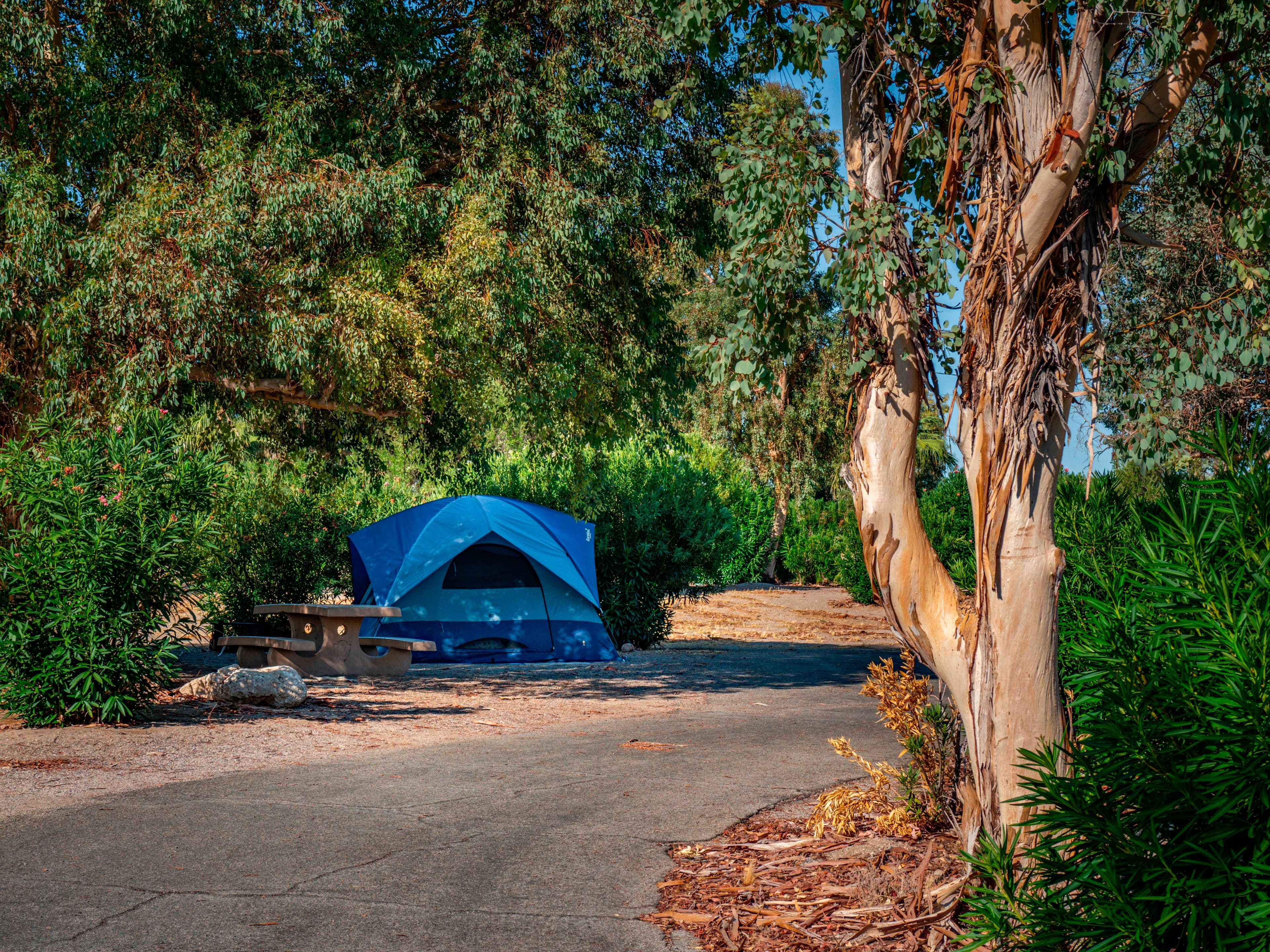 Temple Bar Campground