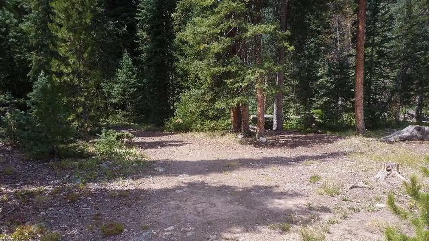 South Fork Group Site - Arapaho NF (CO)