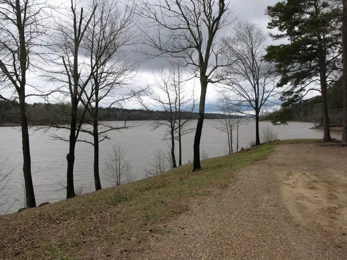 Bear Creek (AR)