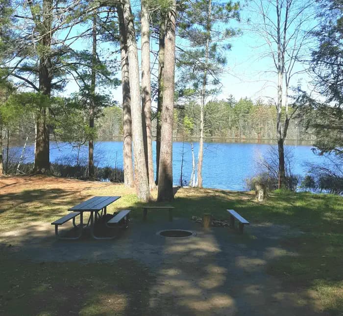 TOM'S LAKE CABIN