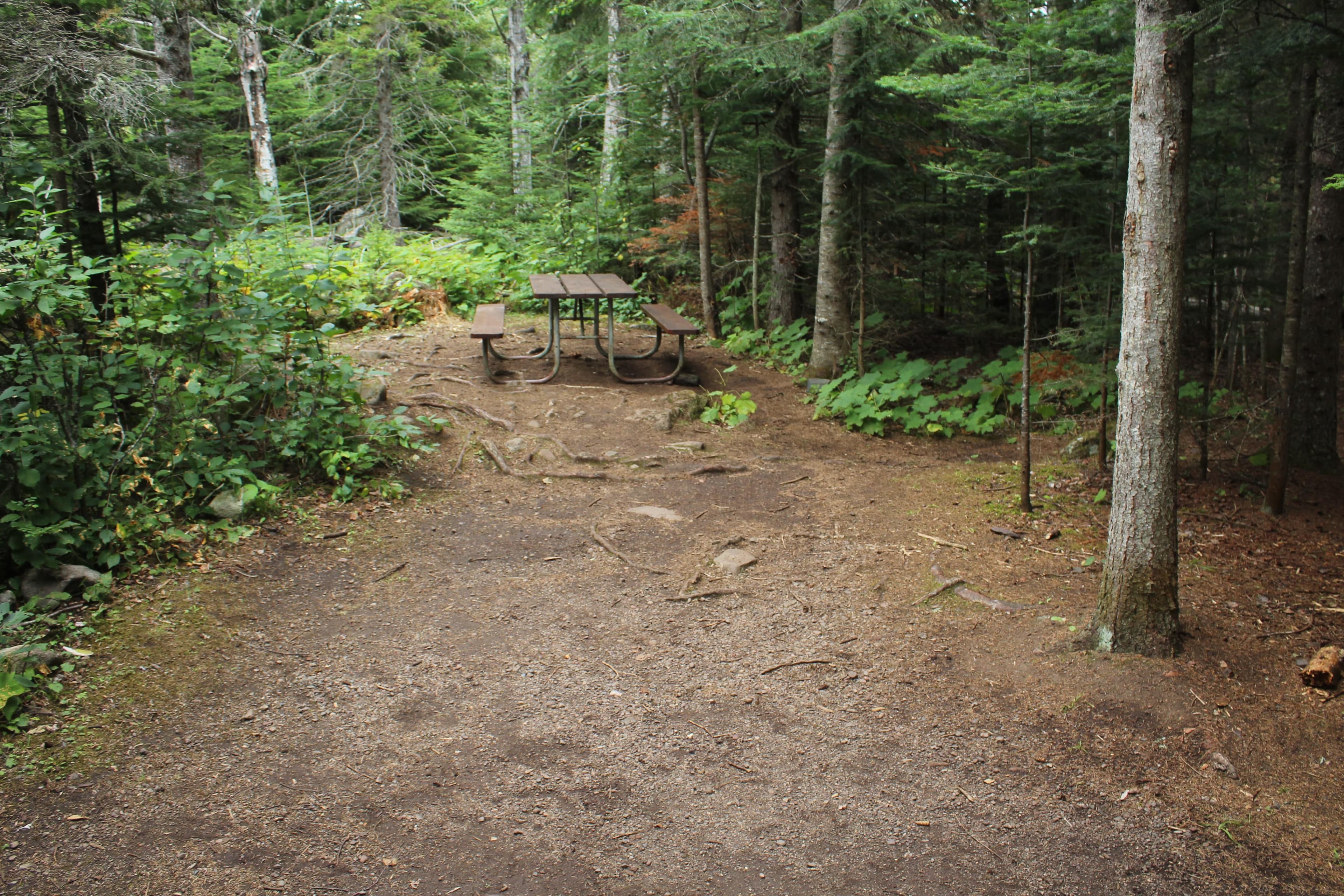 Daisy Farm Campground