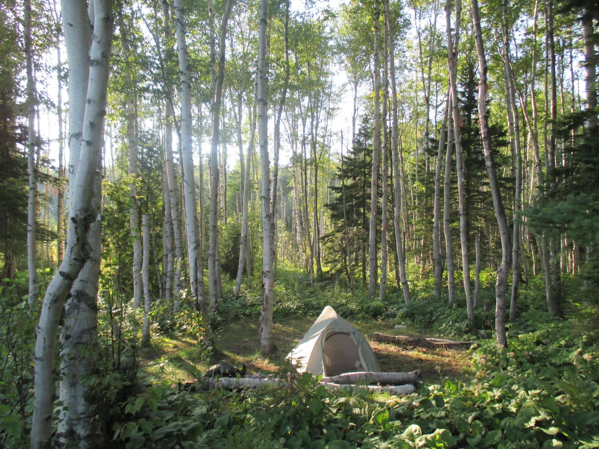 Lake Whittlesey Campground