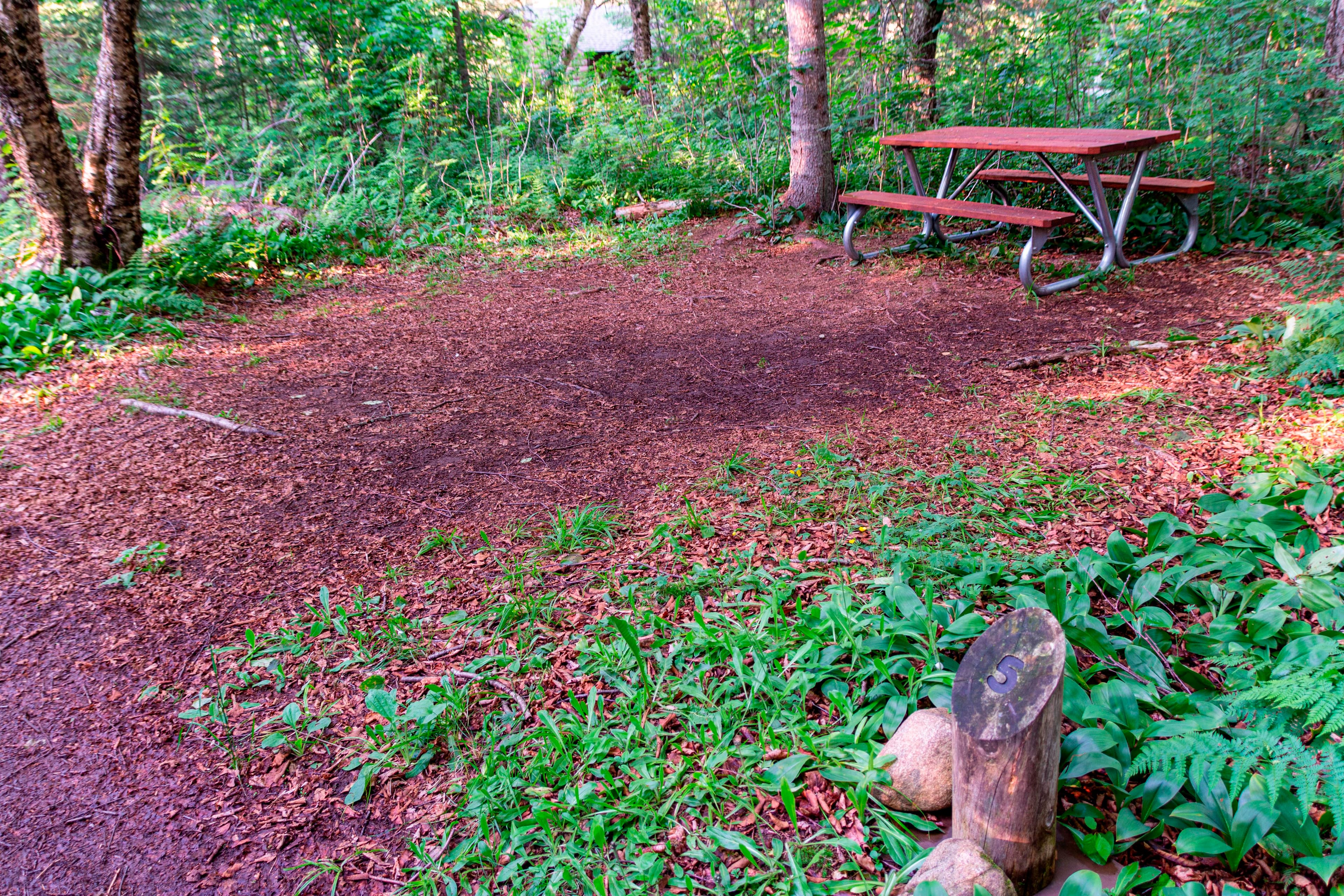 Washington Creek Campground