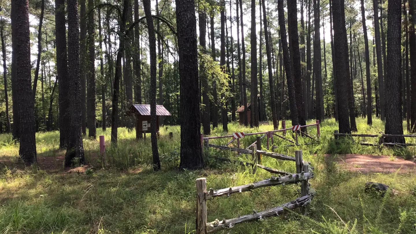 Poulous Loop Group Campground (SC)