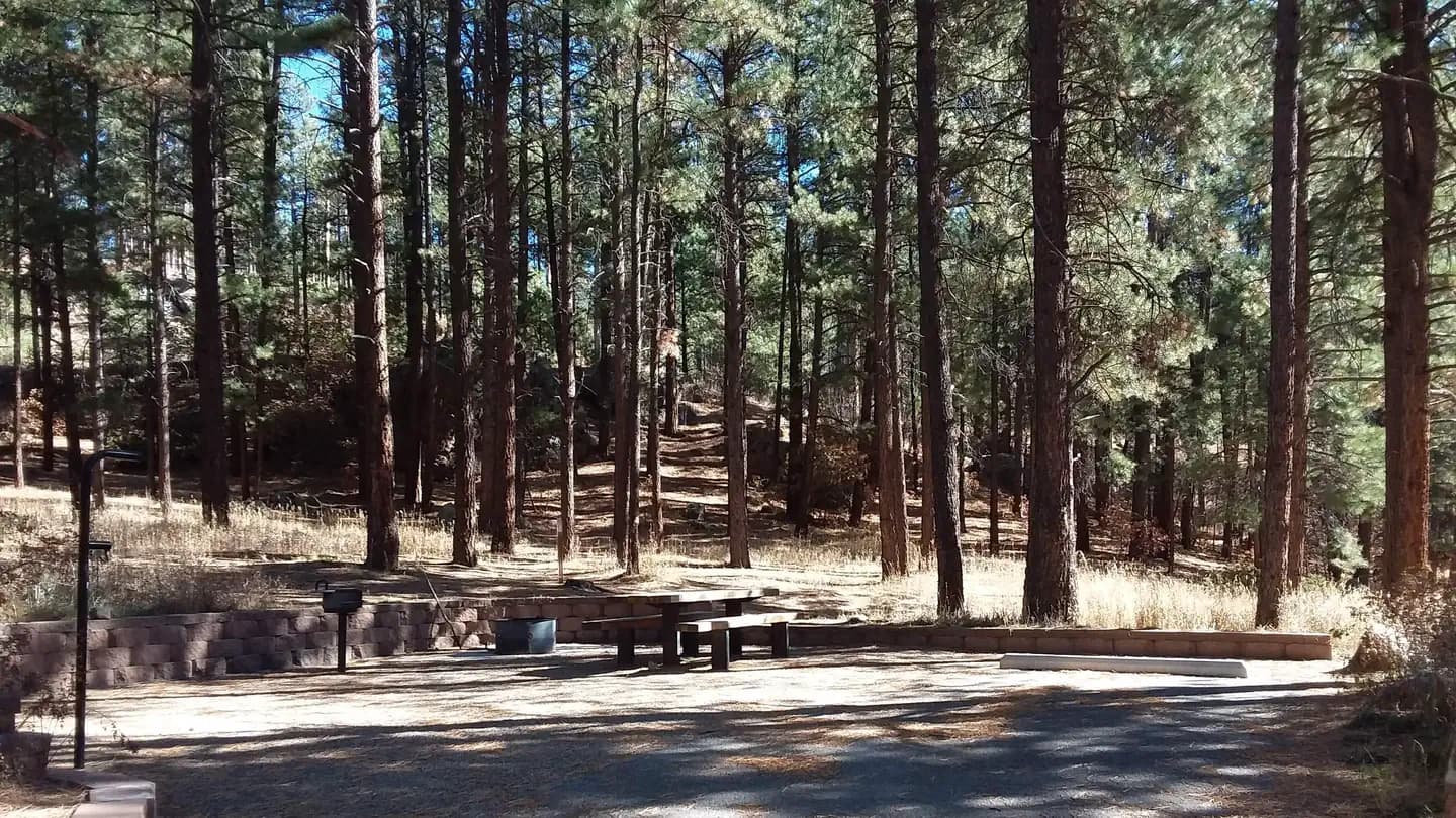 SAN ANTONIO CAMPGROUND