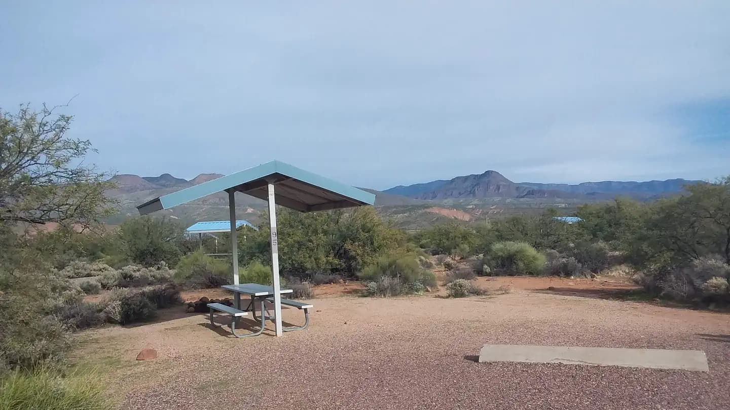 Cholla Campground