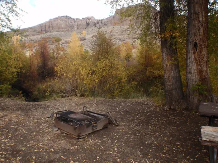 RED CREEK GROUP SITE