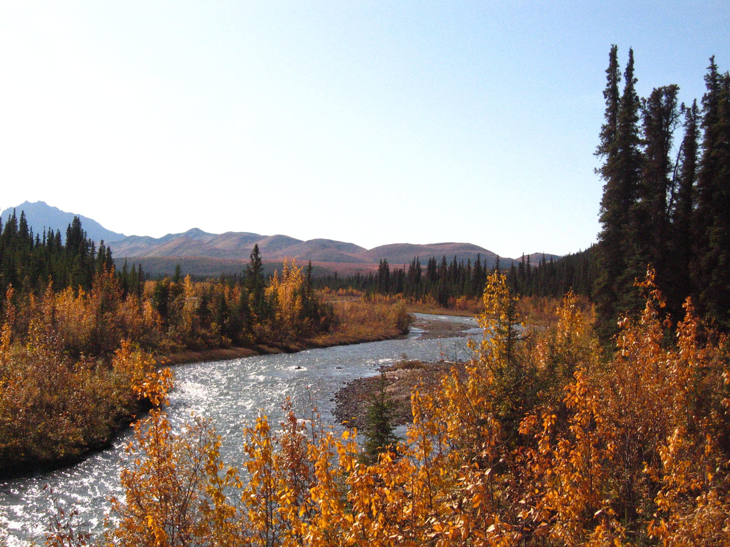Sanctuary River