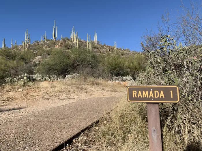 SABINO CANYON RECREATION AREA CACTUS RAMADA 1