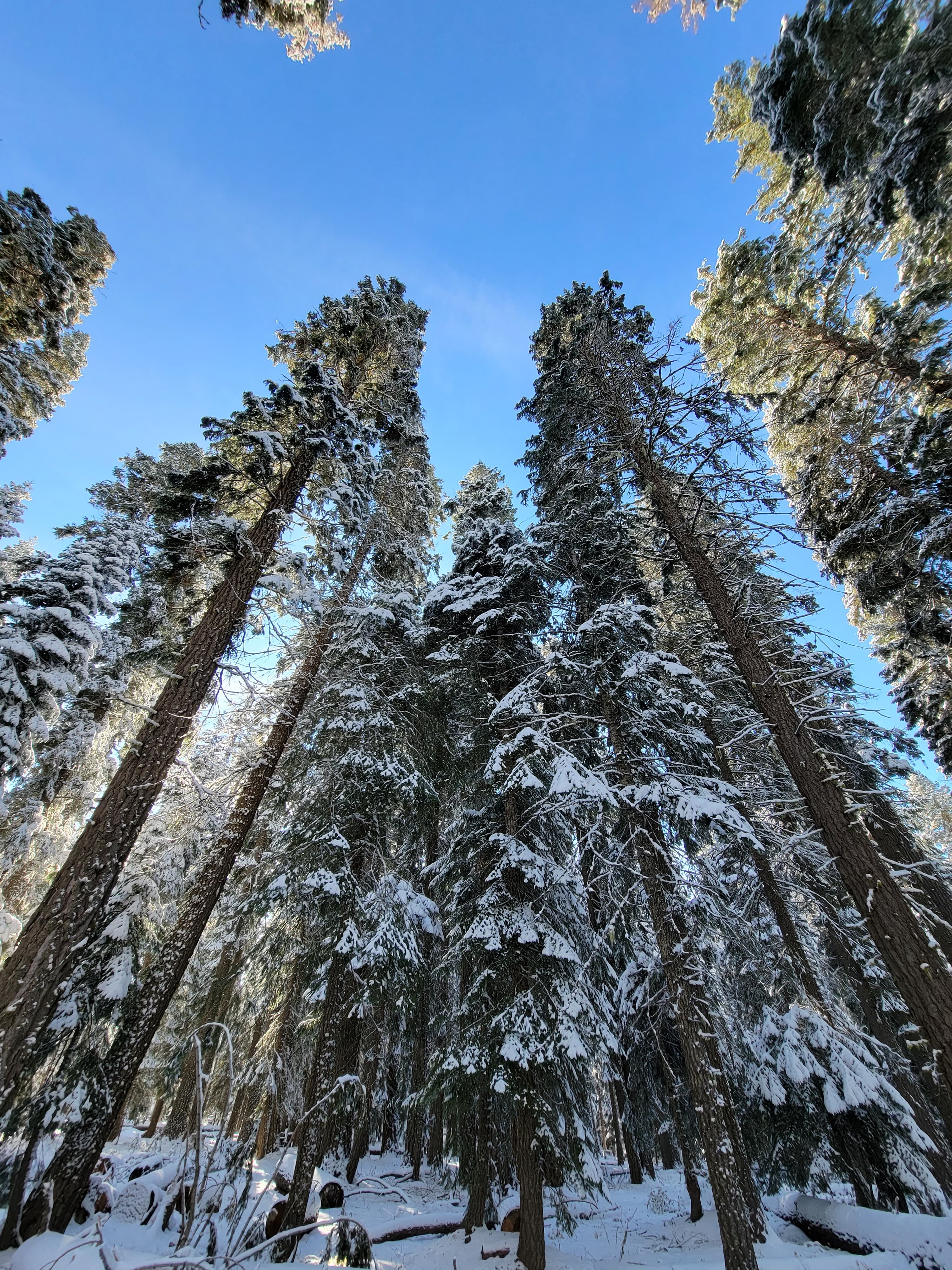 Surveyor Recreation Site