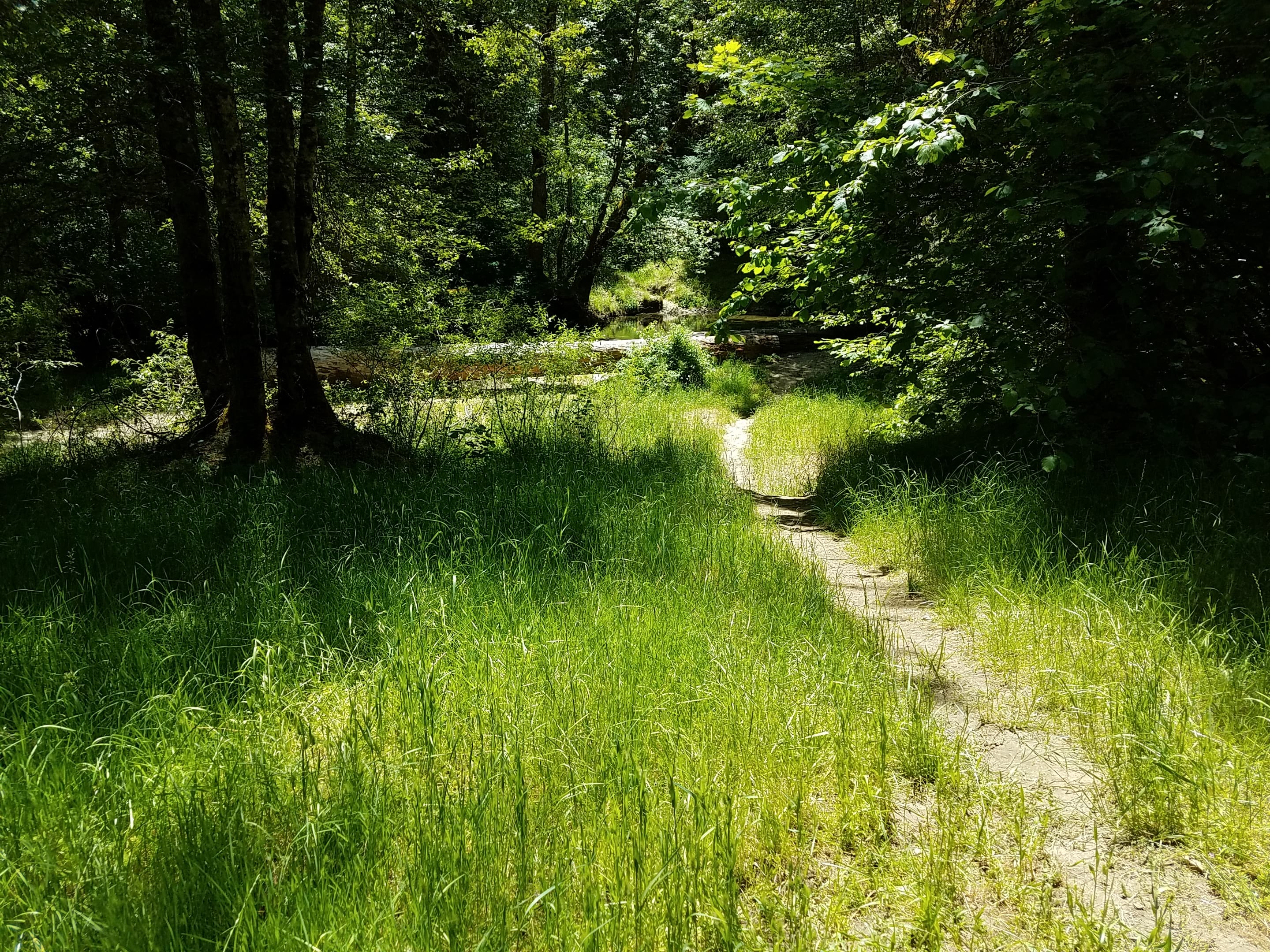 Elderberry Flat Campground