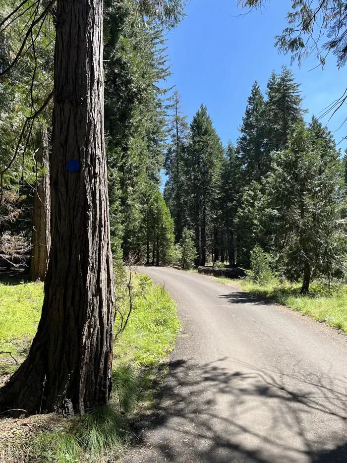 Crystal Springs Campground Mid-Sized Group Sites