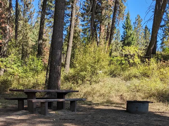 Cabin Creek