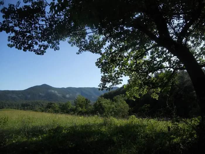 ROUND BOTTOM HORSE CAMP