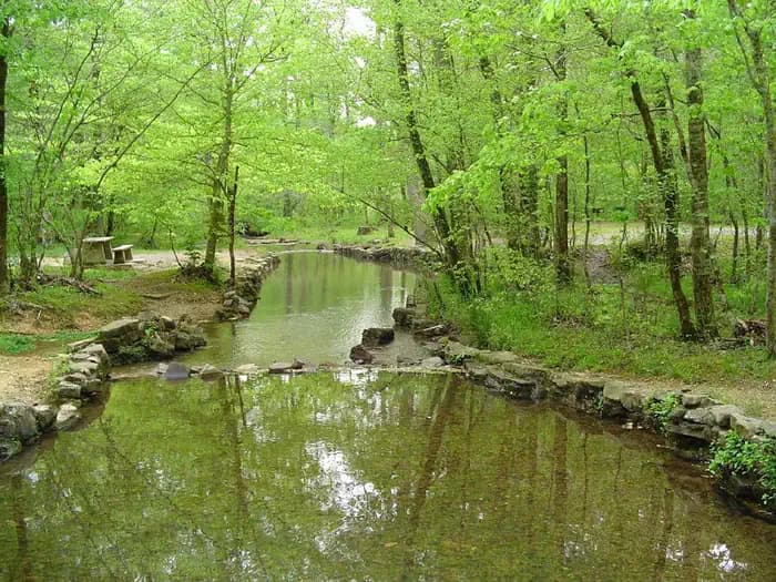 Pocket Campground