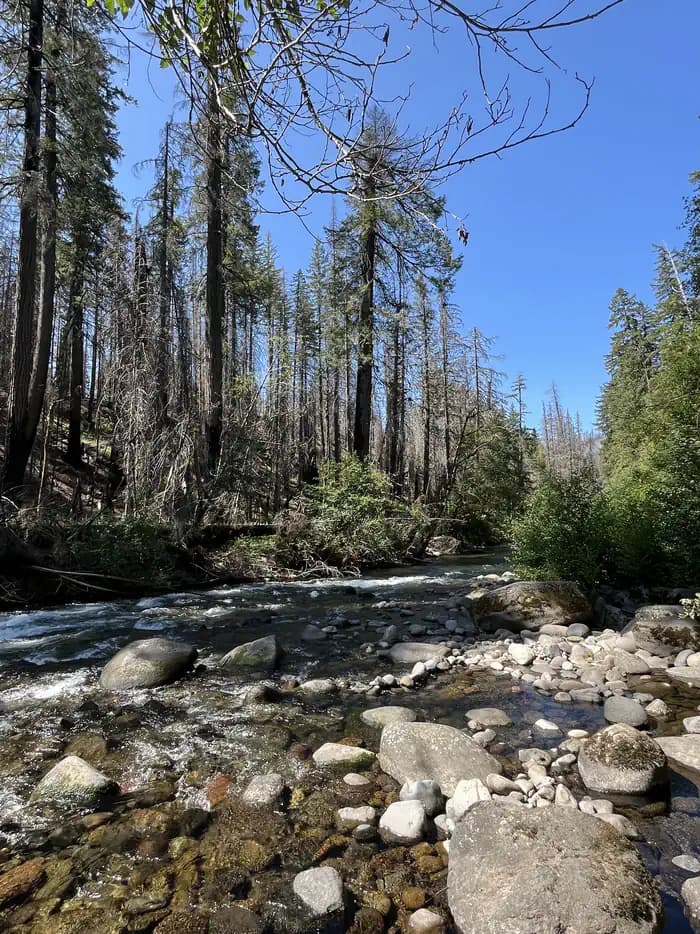 BREITENBUSH CAMPGROUND