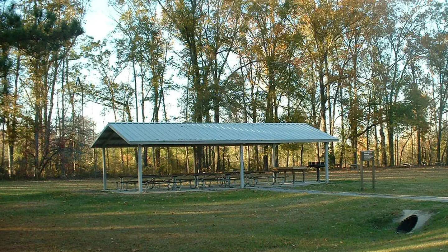 Finches Ferry