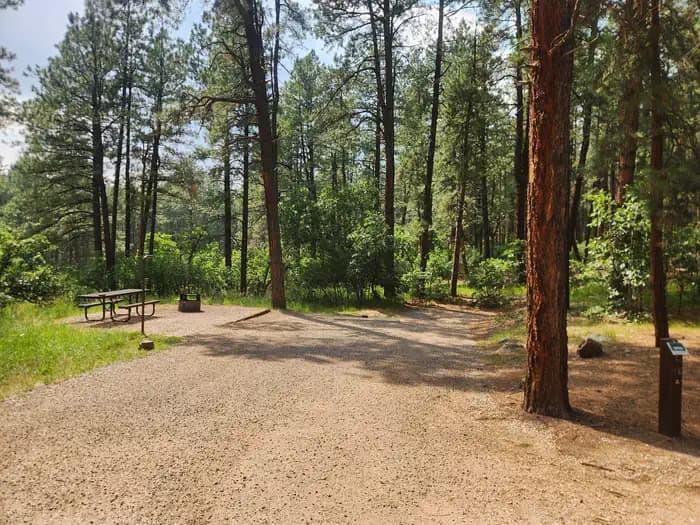 JUNCTION CREEK CAMPGROUND
