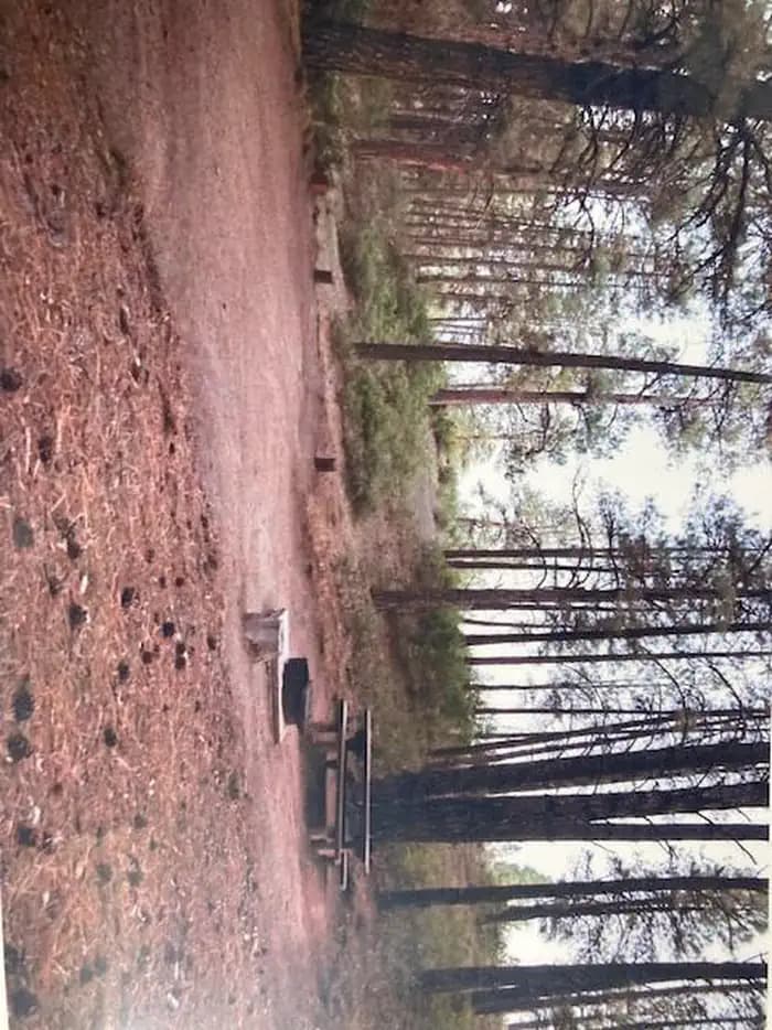 Ute Campground (CO)