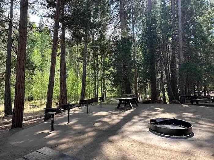 Aspen Hollow Group (Sequoia National Forest, CA)