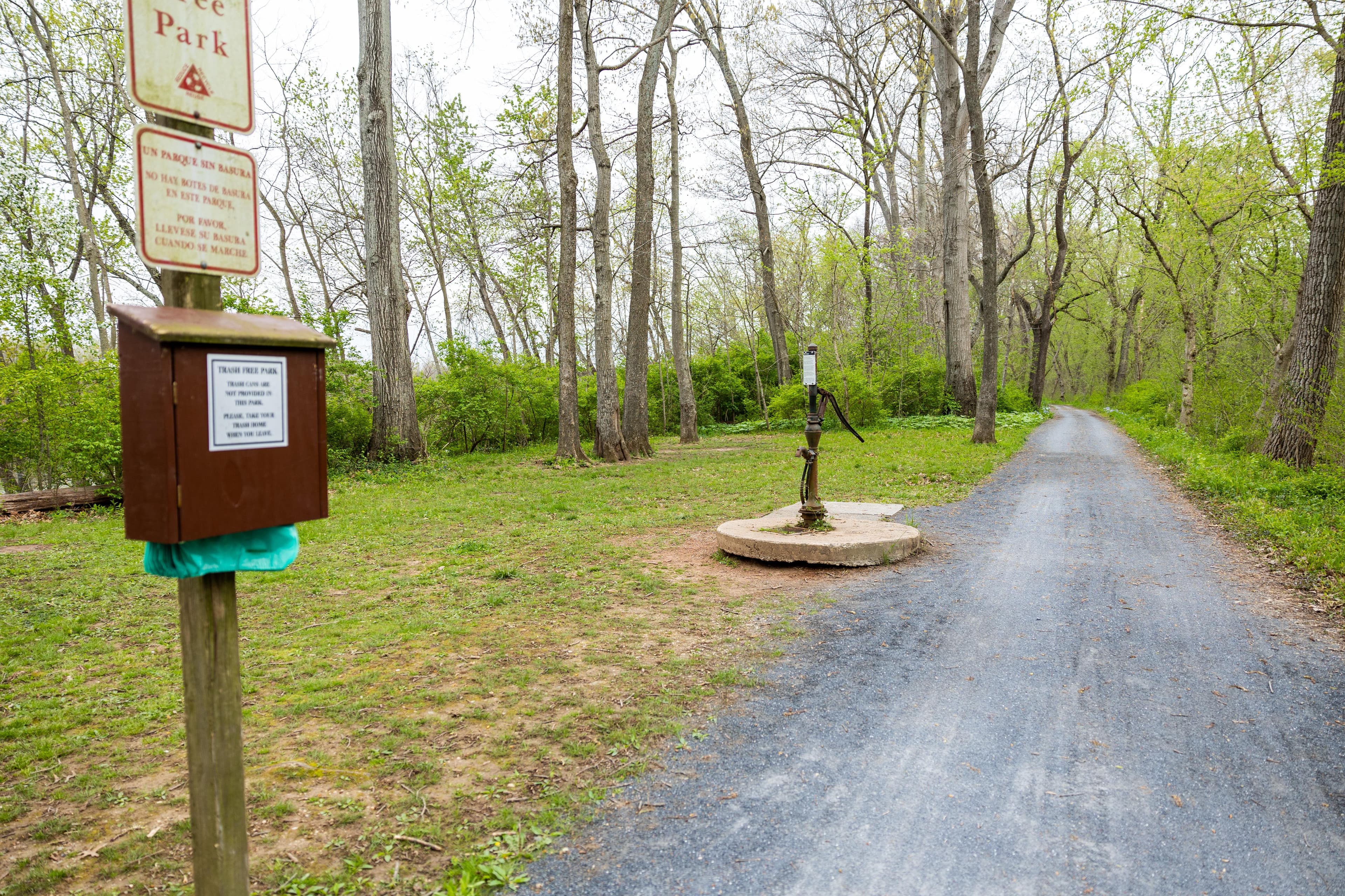 Horsepen Branch Hiker-Biker Overnight (HBO) Campsite