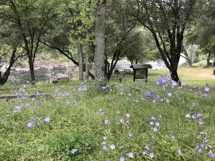 Willow Placer Campground