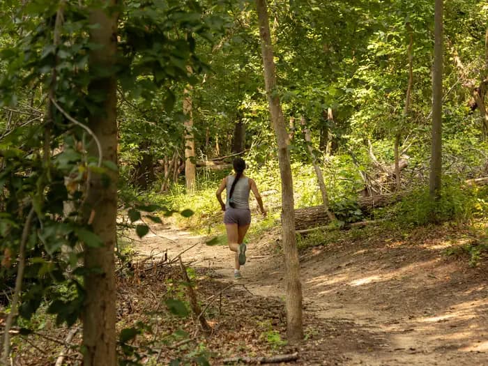 GREENBELT PARK PICNIC AREAS