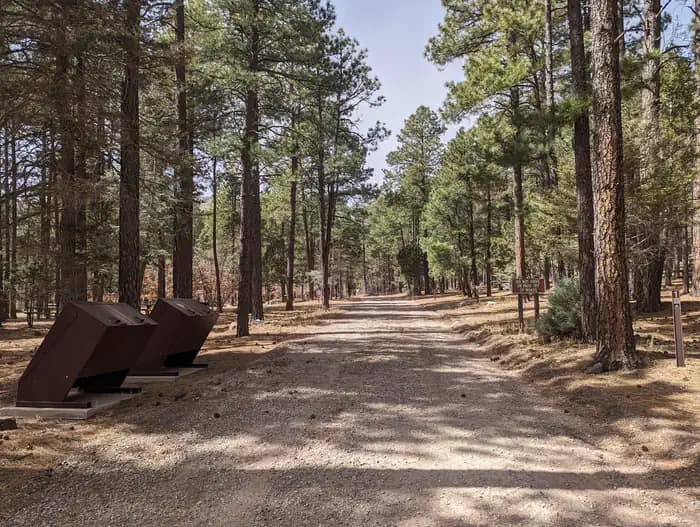 Red Canyon (NM)